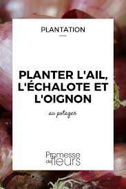 Epingle Sur Jardinage