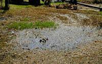 Once the ground is saturated the water will rise up in the chamber and bleed our the sides for vertical. Septic Systems What To Do After The Flood Ground Water And Drinking Water Us Epa