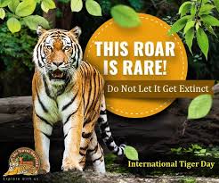 The global tiger day or international tiger day is celebrated every year on july 29th to raise awareness about this endangered big cat.the was created in 2010 at the saint petersburg tiger summit in russia. Antroyce Lee Jie En On Twitter Happy International Tiger Day Internationaltigerday Globaltigerday