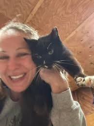 Fiv positive cat needs indoor forever home or sanctuary