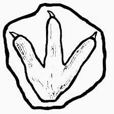 One of the fun and interesting aspects of studying fossils, known as the science of paleontology, is trying to. Fossil Coloring Pages Coloring Home