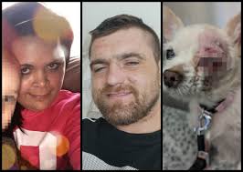 UK Animal Cruelty Files