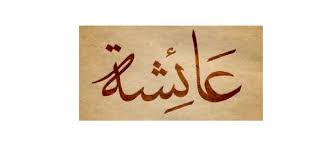 Ia juga bererti seseorang yang berpengetahuan serta terpelajar. Kisah Fitnah Terhadap Aisyah Istri Nabi Bagian 2 Republika Online