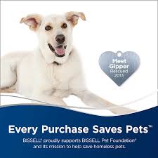 Proheat 2x revolution pet carpet cleaner was: Bissell 22889 Iconpet Cordless Stick Vacuum Cleaner Amazon Ca Home