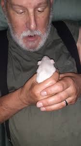 My dad was Virgil Lockhart the son of John Lockhart and Ella Lockhart. Many  probably won't remember him he ran away from home when he was young. I was  told as I