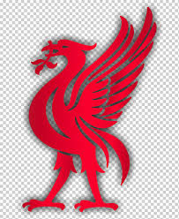 There is no psd format for liverpool logo in our system. Red Bird Illustration Liverpool F C Liver Bird Premier League Macaw Miscellaneous Sport Galliformes Png Klipartz