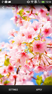 Just click the green download button. Free Download Cherry Blossom Live Wallpaper Android Apps On Google Play 506x900 For Your Desktop Mobile Tablet Explore 50 Cherry Blossom Bathroom Wallpaper Cherry Blossom Bathroom Wallpaper Cherry Blossom