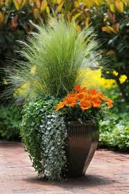 This Arrangement Incorporates The Three Essential Elements Of A Great Display Fill Thrill And Spill Plants Container Gardening Container Gardening Flowers