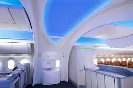 Bamboo describes itself as a 'hybrid' airline. Boeing S 787 Is As Innovative Inside As Outside Wired