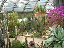 Er ist eine grüne oase in der großstadt und wird von berlinern und touristen gern zu jeder jahreszeit besucht. Botanischer Garten In Berlin Sehenswurdigkeiten Infos Bilder Anfahrt Puzzlemap