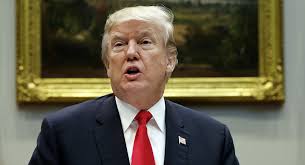 Trump Is Not a Despot