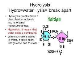 Carbon Chemistry Carbon Atoms Can Form Single Double Or Triple Bonds With Other Carbon Atoms Carbon Can Form Up To 4 Bonds Chemistry Lipid Profile Molecules