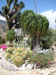 Kaum zu glauben, dass in dem kleinen stadtstaat so viel platz ist, einen exotischen garten zu schaffen. Exotischer Garten In Monaco Tulln