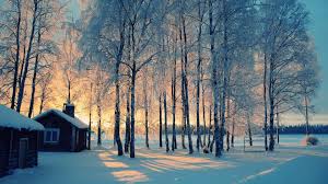 Winter Wallpapers Picserio Com