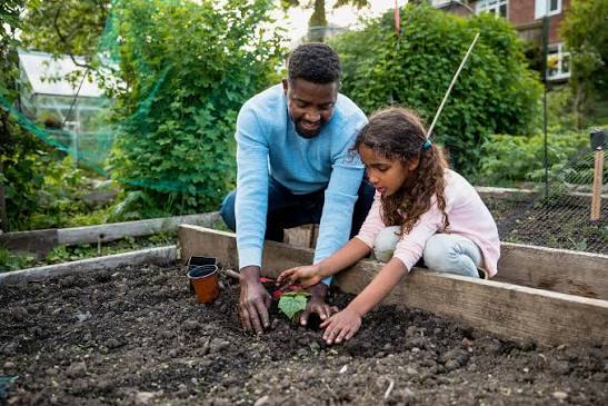 How to Design and Build a Simple Raised Garden Bed for Easy Gardening