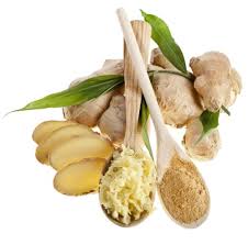 Ingwer kannst du im zeitigen frühjahr an einem warmen, hellen standort pflanzen. Ingwer Anbauen Uberwintern Pflanze Anpflanzen Ernte