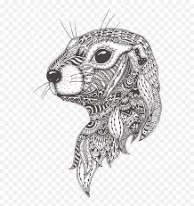 Zo kunnen alle prinsessen fans onbeperkt hun. Download Groundhog Day Line Art Head Drawing For Celebration Kleurplaat Mandala Dieren Moeilijk Png Celebration Png Free Transparent Png Images Pngaaa Com