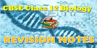 Ecosystem Class 12 Notes Biology Mycbseguide Cbse Papers Ncert Solutions