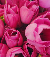See more ideas about flower arrangements, floral arrangements, flowers. Kathryn Edes Smith Obituary Erie Pa Russell C Schmidt Son Funeral Home