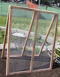 A Frame With Simple Wired Fencing Used To Grow Peas And Cucumbers Vegetable Trellis Garden Trellis Vertical Garden