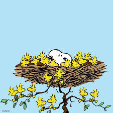 Snoopy Woodstock And Friends Sleeping In A Giant Bird S Nest Snoopy Snoopy Quotes Charlie Brown