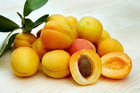Apricot varieties with low chill requirements allow. Low Chill Apricots Ask The Green Genie