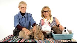 A pet rabbit eating grass. Deciding On A Rabbit Wabbitwiki