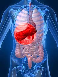 Moldova, doar în 2019 au fost diagnosticați cu formele b și c aproape 2.000 de pacienți. Tot Ce Trebuie SÄƒ È™tiÈ›i Despre Hepatite Care Este Cea Mai PericuloasÄƒ È™i Cum O RecunoaÈ™teÈ›i