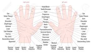 Hand Reflexology Zone Massage Chart With Areas And Names Of The