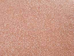 Human Skin High Resolution Skin Texture Close Up Spon High Skin Human Close Texture Ad Texture Photography Human Skin Texture Skin