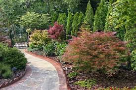 Landscaping Privacy Plants Landscape Design Urban Garden