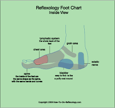 reflexology foot map diagrams charts including step by