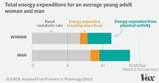 Most Of Us Misunderstand Metabolism Here Are 9 Facts To Clear That Up Vox