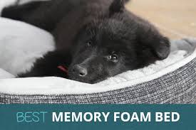 Gbp prices are indicative, correct euro pricing is shown in the checkout. Best Memory Foam Dog Beds Orthopedic And Washable Pooching Around