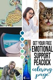 Get Your Free Emotional Support Peacock Coloring Page Peacock Coloring Pages Supportive Emotions