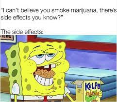 More Ridiculous Weed Memes For Those Who Are 420 Friendly Warning Side Effects Of Weed Memes