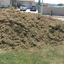 Chip Drop Wood Chip Mulch Garden Mulch Mulch