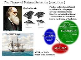 History Oceanography Evolution Darwin Went On A Voyage Of Discovery To South America And The Galapagos Isl Theory Of Evolution Writing A Book Oceanography
