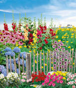 Now recognised as one of the uk's leading plantsmen nurseries, hardy's cottage garden plants was founded by rosy hardy in 1988. 59 00