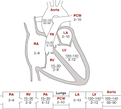 Pressures Of The Heart Cardiac Nursing Heart Pressure