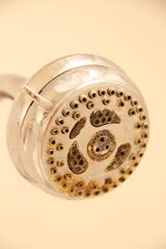 You can dislodge mineral buildup in these nozzles by simply massaging each nozzle with your finger. How To Clean A Shower Head Bitz Giggles