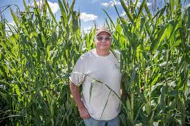 Earth, wind and rain