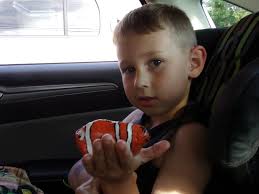 Our finds today. We are going to rehid. This is our first "hunt"