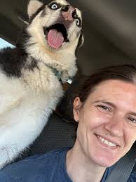 SASHA NEEDS FOSTER OR ADOPTER! This sweet ~2yo girl is one of the mamas  from the Navajo County hoarding situation