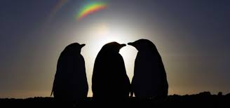 El solsticio de invierno es un momento propicio para las intenciones de cambio y transformación. Solsticio De Invierno 2020 Instituto Antartico Chileno Celebrara La Noche Mas Larga Del Ano Con Una Travesia Audible Sur Actual