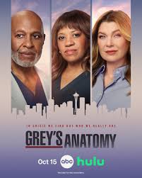 Grey's Anatomy season 23 - Wikipedia