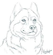 Realistic Line Drawings Google Search Malvorlagen Pferde Tiere Zeichnen Kunst