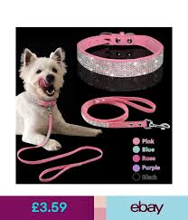 Collars Bling Rhinestone Pet Dog Collars And Leads Leash For Small Medium Dog Puppy Op Ebay Home Garden Kopek Ev Kopekleri Kedi