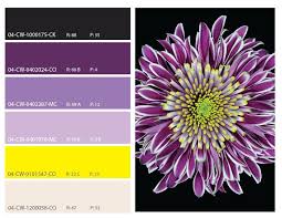 Purple And Yellow Color Palette Great Color Contrast Color Palette Yellow Color Colours That Go Together