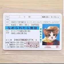 Amazon.co.jp: なめ猫 免許証 ニャ助 なめんなよカードコレクション なめ猫カード : ペット用品